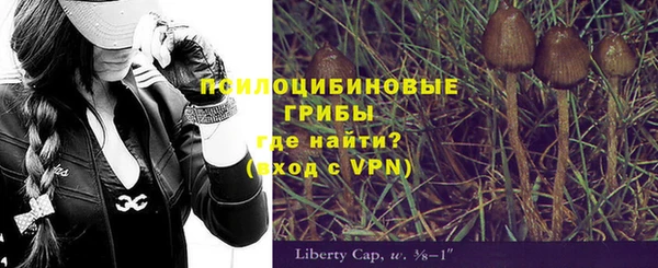 эйфоретик Беломорск